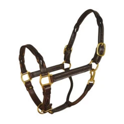 Perri's Twisted Leather Halter