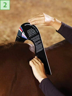 Bates/Wintec Easy Change Gullet Gauge -Weaver Leather Store 2 gauge point 97724.1546903553