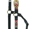 Weaver Leather Weaver Aztec Nylon Halter 2 Weaver Leather Weaver Aztec Nylon Halter -Weaver Leather Store 356781p22 weaver aztec halter crimson 79904.1544297786
