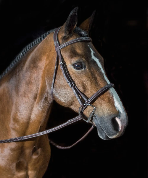 Pessoa PRO Fancy Stitched Raised Bridle 4 Pessoa PRO Fancy Stitched Raised Bridle - Image 2
