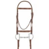 Pessoa PRO Fancy Stitched Raised Bridle 2 Pessoa PRO Fancy Stitched Raised Bridle -Weaver Leather Store 470460 pessoa pro raised fs bridle chestnut 50651.1586552593