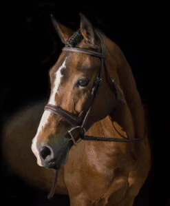 Pessoa PRO Fancy Stitched Wide Bridle 8 Pessoa PRO Fancy Stitched Wide Bridle -Weaver Leather Store 470461 pessoa pro wide fs bridle dk brown horse 01089.1586553051