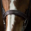 Pessoa PRO Fancy Stitched Wide Bridle 1 Pessoa PRO Fancy Stitched Wide Bridle -Weaver Leather Store 470461 pessoa pro wide fs bridle dk brown nose 51477.1586553021