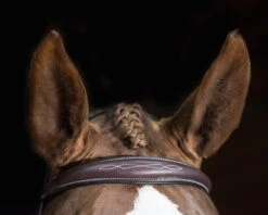 Pessoa PRO Fancy Stitched Tapered Bridle 13 Pessoa PRO Fancy Stitched Tapered Bridle -Weaver Leather Store 470462 pessoa pro fs taper bridl dk brn brow 75194.1669487591