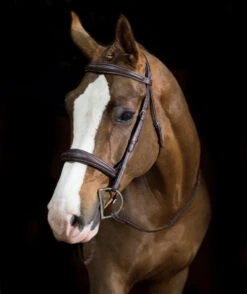 Pessoa PRO Fancy Stitched Tapered Bridle 11 Pessoa PRO Fancy Stitched Tapered Bridle -Weaver Leather Store 470462 pessoa pro fs taper bridl dk brn horse 81669.1669487583