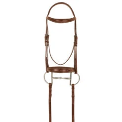 Pessoa PRO Fancy Stitched Tapered Bridle 9 Pessoa PRO Fancy Stitched Tapered Bridle -Weaver Leather Store 470462 pessoa pro fs taper bridle chestnut 31538.1669487569