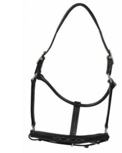 HDR Pony Fancy Padded Leather Halter -Weaver Leather Store 5019halterblack 80901 35602.1618602106