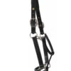 HDR Pony Fancy Padded Leather Halter -Weaver Leather Store 5019halterblackside 22829 81250.1618602103