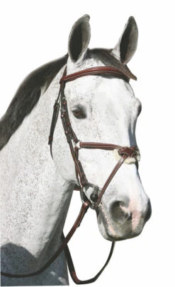 Henri De Rivel Pro Monocrown Figure 8 Bridle -Weaver Leather Store 5095 hdr pro monocrown figure 8 bridle 44353.1546552990