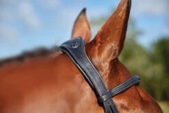 Collegiate ComfiTec Training Bridle -Weaver Leather Store 811145 ComfiTec Training Crown Side 34390.1588094697
