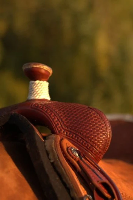 Circle Y Barton Select Rancher Saddle 3 Circle Y Barton Select Rancher Saddle