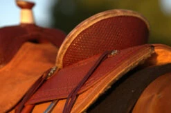 Circle Y Barton Select Rancher Saddle 16 Circle Y Barton Select Rancher Saddle -Weaver Leather Store Barton Ranch Rear Skirting 15051.1600205555