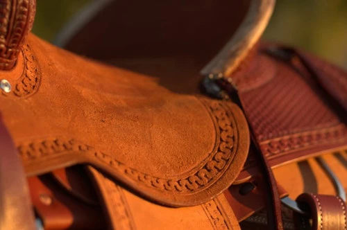 Circle Y Barton Select Rancher Saddle 8 Circle Y Barton Select Rancher Saddle - Image 6