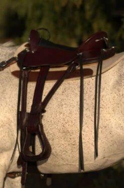 Circle Y Julie Goodnight Cascade Crossover Trail Saddle 1753 -Weaver Leather Store Cascade Left Side 39422.1600203383