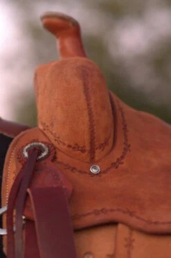 Circle Y Comal All Around Saddle