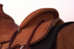 Circle Y Comal All Around Saddle -Weaver Leather Store Comal All Around Skirt 42444.1600205963