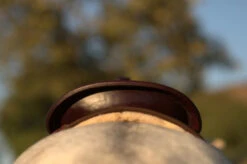 High Horse Daisetta Cordura Trail Saddle By Circle Y 26 High Horse Daisetta Cordura Trail Saddle By Circle Y -Weaver Leather Store Daisetta Cantle Rear 57003.1600204651