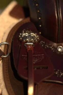 High Horse Daisetta Cordura Trail Saddle By Circle Y 36 High Horse Daisetta Cordura Trail Saddle By Circle Y -Weaver Leather Store Daisetta Concho 80022.1600204641