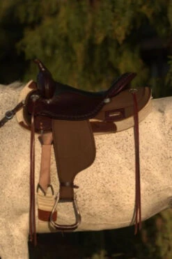 High Horse Daisetta Cordura Trail Saddle By Circle Y 32 High Horse Daisetta Cordura Trail Saddle By Circle Y -Weaver Leather Store Daisetta Left 05467.1600204671