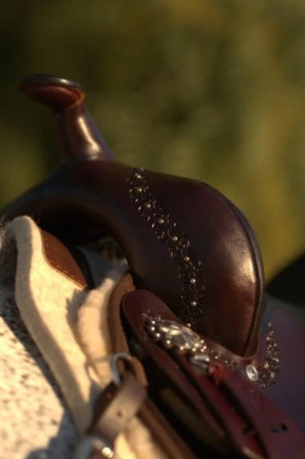 High Horse Daisetta Cordura Trail Saddle By Circle Y 6 High Horse Daisetta Cordura Trail Saddle By Circle Y - Image 4