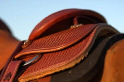 Circle Y Dodge Ranch Sorter Saddle