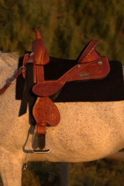 Circle Y Fischer Daisy Treeless Barrel Saddle