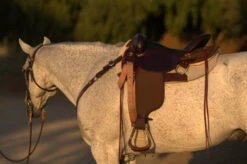 High Horse Highbank Endurance Saddle By Circle Y -Weaver Leather Store HH Highback Left Profile on a horse 30277.1600209479