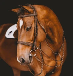 Arion Fancy Stitch Hunter Bridle -Weaver Leather Store Hunter Bridle with Fancy Stitching brown horse crop BR5H arion 95254.1681670675