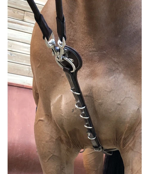 Jump'in Patrick Training Aid 2 Jump'in Patrick Training Aid