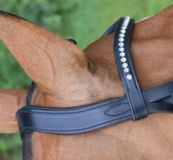 KL Italia Prix Snaffle Bridle 9 KL Italia Prix Snaffle Bridle -Weaver Leather Store Prix dressage bridle crown detail 09276.1607478291