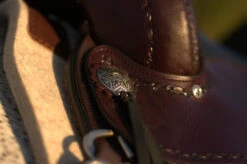 Circle Y Salt River Flex2 Trail Saddle 1667 -Weaver Leather Store Salt River Concho 72323.1600203795