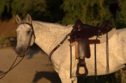 Circle Y Salt River Flex2 Trail Saddle 1667 -Weaver Leather Store Salt River Left Profile on a horse 71261.1600203852