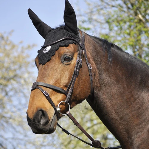 In Horse We Trust Bridle Evolution 5 In Horse We Trust Bridle Evolution - Image 3