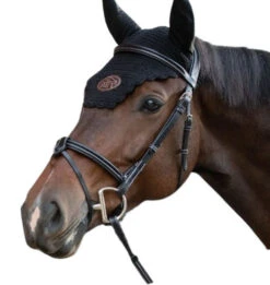 Jump'in Tuesday Flash Bridle 5 Jump'in Tuesday Flash Bridle -Weaver Leather Store Tuesday bridle week collection 19487.1645561289