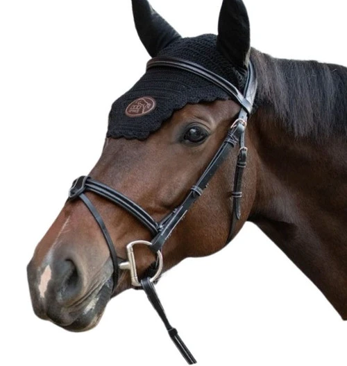 Jump'in Tuesday Flash Bridle 4 Jump'in Tuesday Flash Bridle - Image 2