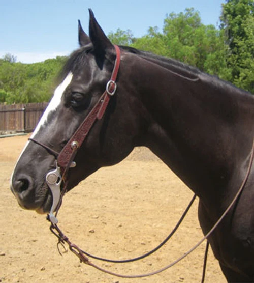 Mikmar Training Bit 3 Mikmar Training Bit