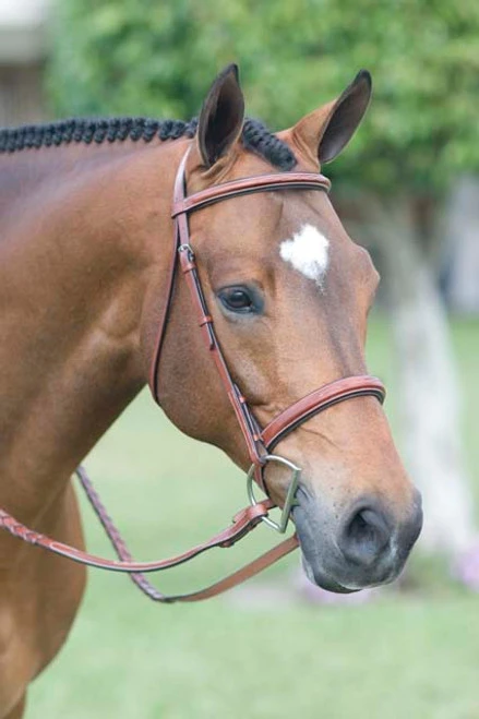 Rodrigo Fancy Stitch Padded Wide Noseband Show Bridle 3 Rodrigo Fancy Stitch Padded Wide Noseband Show Bridle