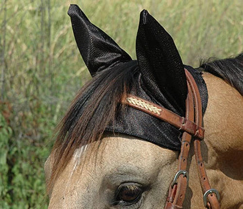 Cashel Comfort Ears 3 Cashel Comfort Ears