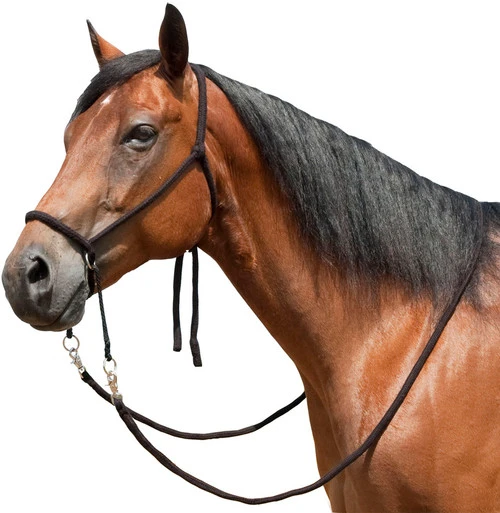 Tory Leather Bitless Poly Bridle With Reins 4 Tory Leather Bitless Poly Bridle With Reins - Image 2