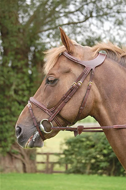 Dy'on Difference Flash Bridle 3 Dy'on Difference Flash Bridle