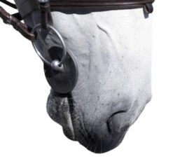 Acavallo Gel Bit Guards