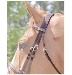 Dy'on Anatomic Crownpiece