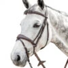 Prestige FS Anatomic Bridle With Flash 2 Prestige FS Anatomic Bridle With Flash -Weaver Leather Store anatomic flash bridle fs tobacco E141 prestige 62090.1568914769
