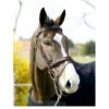 Dy'on Anatomic Flash Noseband Bridle -Weaver Leather Store anatomic flash noseband bridle dyon 19831.1610837903