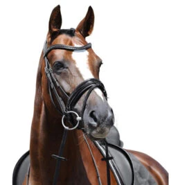 Passier Apollo Patent Leather Snaffle Bridle -Weaver Leather Store apollo bridle graphite brow horse 880 passier 58418.1690318594