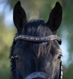 Halter Ego Aspen Rolled Snaffle Bridle 10 Halter Ego Aspen Rolled Snaffle Bridle -Weaver Leather Store aspen rolled snaffle brn taupe browband ASPEN halter ego 39142.1682612610