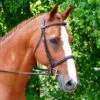 Black Oak Aster Snaffle Bridle -Weaver Leather Store aster bridle black oak 66112.1568766012
