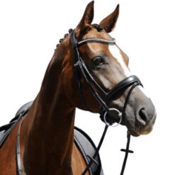 Passier Atlas Snaffle Bridle -Weaver Leather Store atlas snaffle bridle horse 820 passier 06263.1690300481