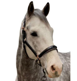 Halter Ego Aurelia Rose Gold Halter -Weaver Leather Store aurelia black pt rs gold halter ego 47724.1682994359