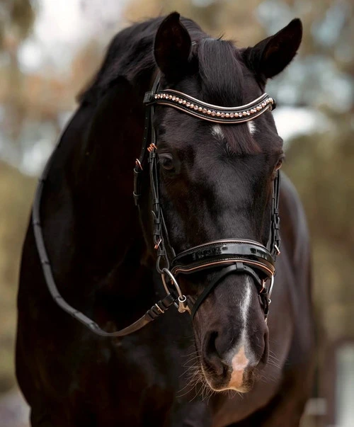 Halter Ego Aurelia Rose Gold Snaffle Bridle 7 Halter Ego Aurelia Rose Gold Snaffle Bridle - Image 5